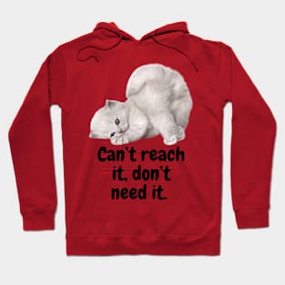 Can't reach it, don't need it Hoodie